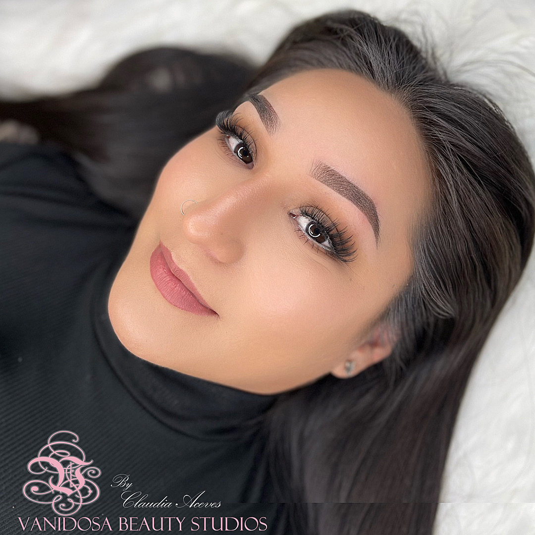 Vanidosa Beauty Studios Online Powder Brow Course 